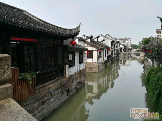 动物帮帮忙保卫家园
